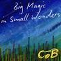 Big Magic in Small Wonders