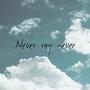 Never Say Never