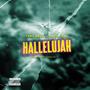 HALLELUJAH (feat. Elvin Cena)