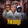 Nwanyi (feat. DJ Pyro & Casiddy Vibez Beatz)