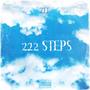 222 STEPS (Explicit)