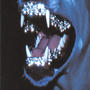 outside (Explicit)