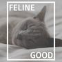 Feline Good: Cat Sleep Music, Kitten Lullabies