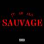 SAUVAGE (Explicit)