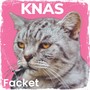 KNAS (Radio Edit)