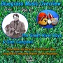 Bluegrass Music Overview 13 Vol. / Vol. 4 : The Green River Boys & Glen Campbell