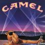 Camels (Explicit)