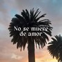 No se muere de amor (Demo)