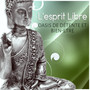 L'esprit Libre - musique zen pour spa massage, oasis de détente et bien-etre collection