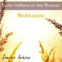 In the Stillness of This Moment (Meditation)