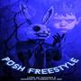 PUSH FREESTYLE (Explicit)