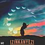 Izinkanyezi (feat. Elidaves)