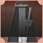 Andante