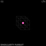 SINGULARITY PURSUIT