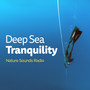 Deep Sea Tranquility