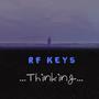 Thinking (feat. Shantina) [Explicit]