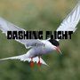 Dashing Flight