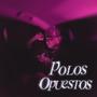 Polos Opuestos