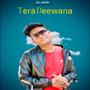 Tera Deewana