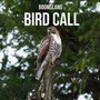 Bird Call