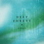 Deep Forest