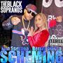 SCHEMING (Explicit)