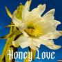 Honey Love (Explicit)
