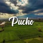 Pucho