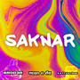 SAKNAR