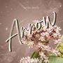 ARROW (Explicit)