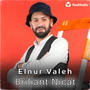 Briliant Nicat