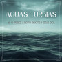 Aguas turbias