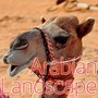 Arabian Landscape