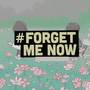 Forget Me Now (Lofi Ver.)