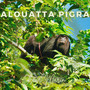 Alouatta pigra