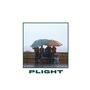 Plight