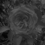 Like That (Explicit)