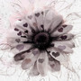 #JumpTillTheEndOfSpring (Explicit)