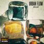 Urban Flow