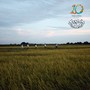MalaysiaKu: Nurture the Harmony