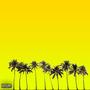 PalmTrees N Situationships (Explicit)