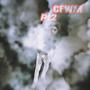 CFWM PT2 (Explicit)