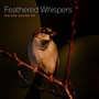 Feathered Whispers