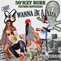 I Don't Wanna Be A Playa (feat. BabyFaceGigz) [Explicit]