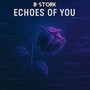 Echoes of You