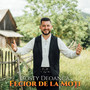Fecior de la moți