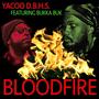 Bloodfire (feat. Bukka Buk) [Explicit]