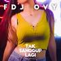 Tak Sanggup Lagi (FDJ Ovy DanceMix)