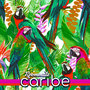 Caribe