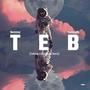 TEB (Taking Everything Back) (feat. Neemoe)